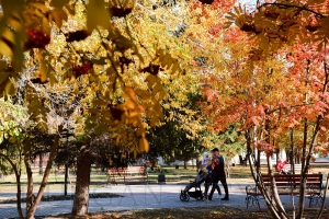 ����� � ������� 