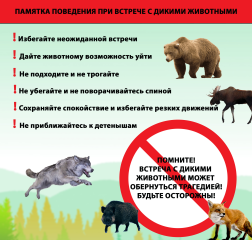 ������� ��� ������� � ������ ���������