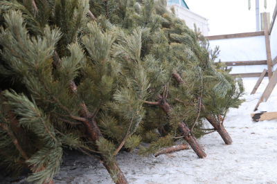 ��� ��������� ������������� ����