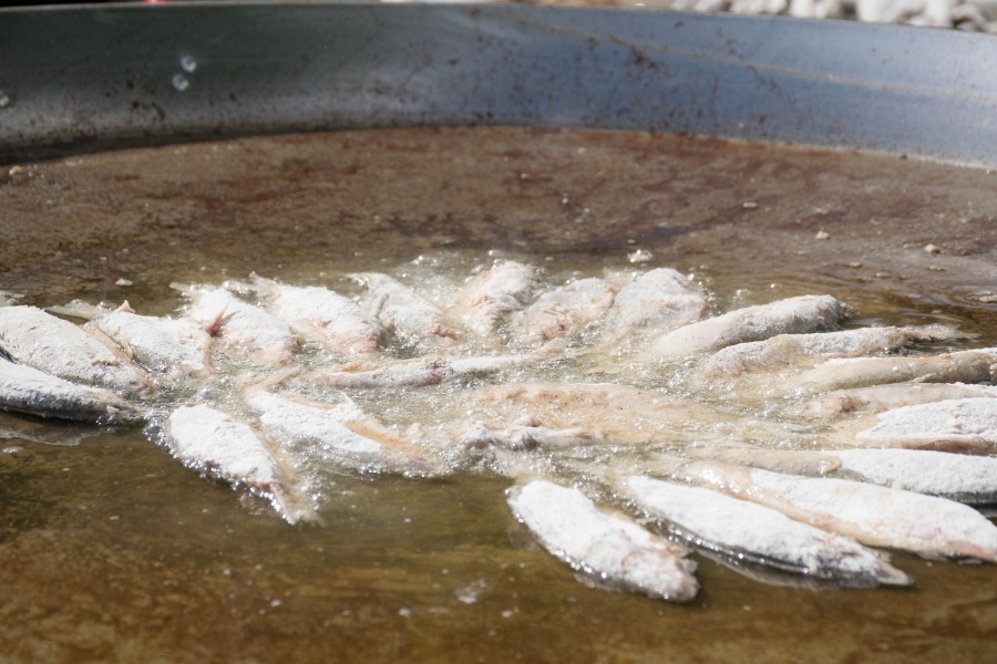 ���� ����� - 2023