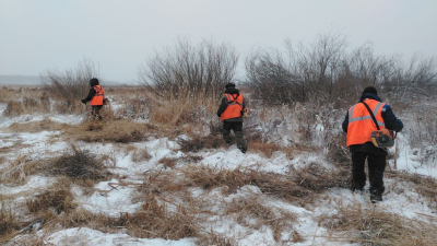 � ������� ������� ������ �� ����� ������ � ������ ��������������� �����������