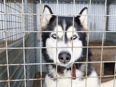 �������� �������� � ��������������� ������ 