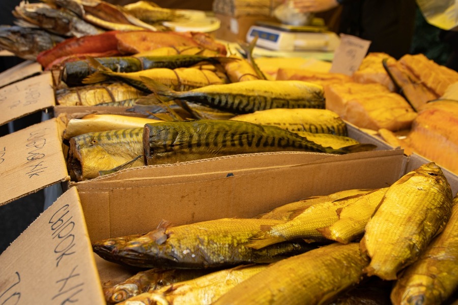 5-�, ���������, ���������������� ��������� ����� �����