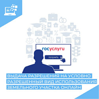 Муниципальная услуга: Предоставление разрешения на условно разрешенный вид использования земельного участка или объекта капитального строительства
