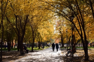 ����� � ������� 