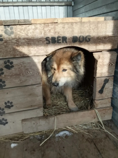 Кличка Заслон Кличка Заслон