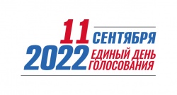 Начался период выдвижения кандидатов на дополнительных выборах депутатов Курганской городской Думы