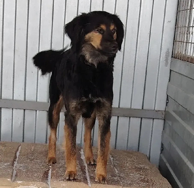 ������ ����