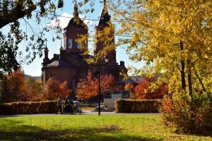 ����� � ������� 