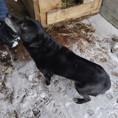 ������ �����