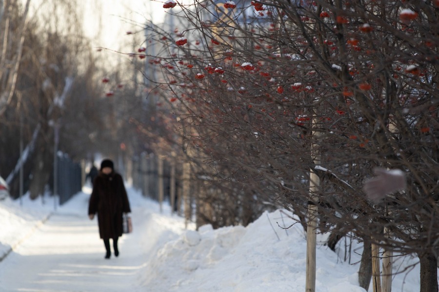 ������ ������ 