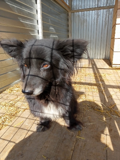 кличка Люся кличка Люся