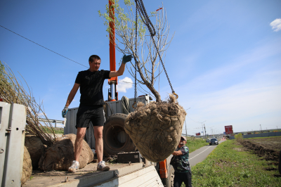��������������� ��� � ������������� ������ ������� ��������� ����������