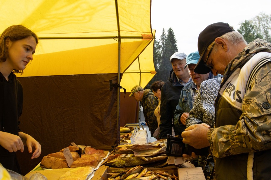 5-�, ���������, ���������������� ��������� ����� �����