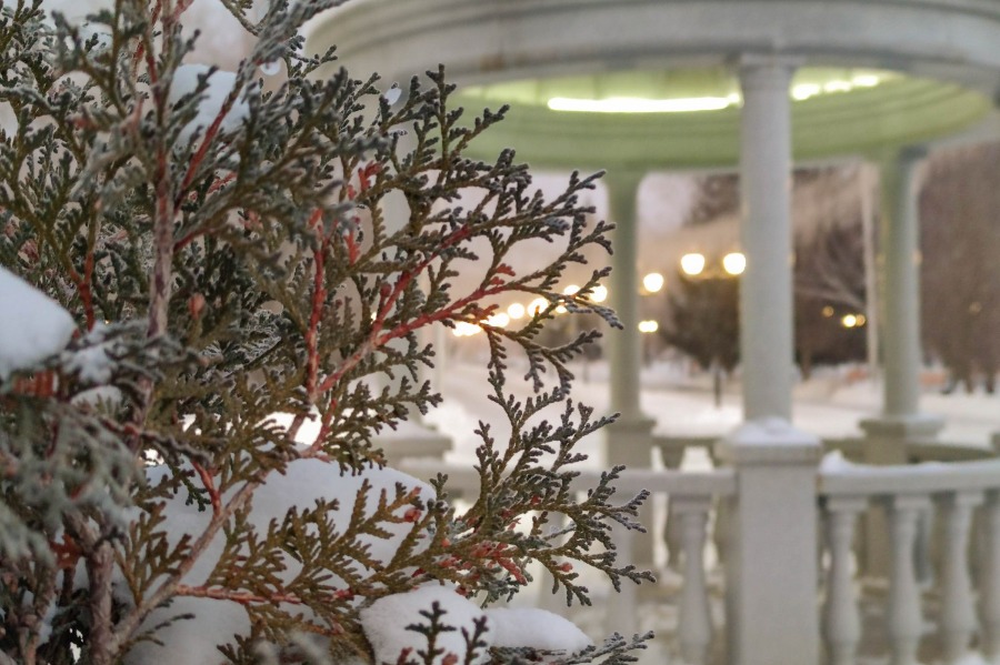 ������ ������ 