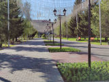 Общественные пространства Кургана украшают цветами