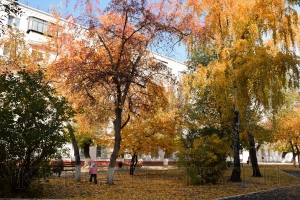 ����� � ������� 