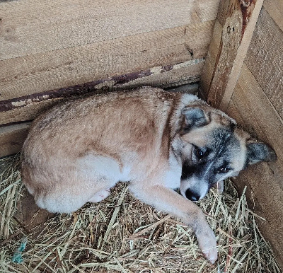 ������ �����