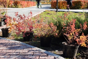 ����� � ������� 