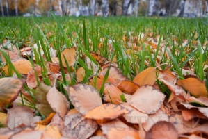 ����� � ������� 