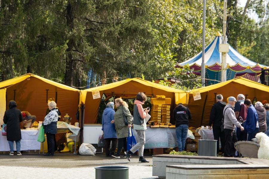 5-�, ���������, ���������������� ��������� ����� �����