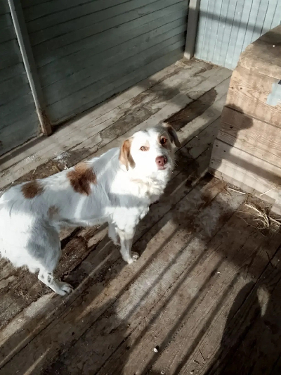 Кличка Зема Кличка Зема